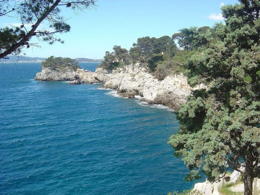 Esprit Du Sud - Appartement Cosy Proche Centre - Τουλόν Εξωτερικό φωτογραφία